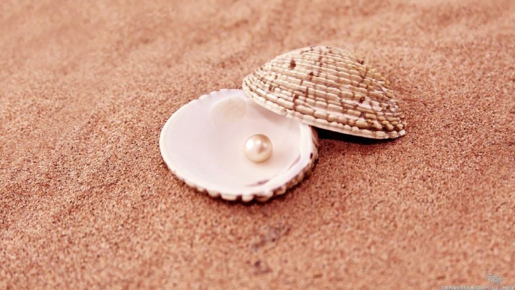 pearl in shell