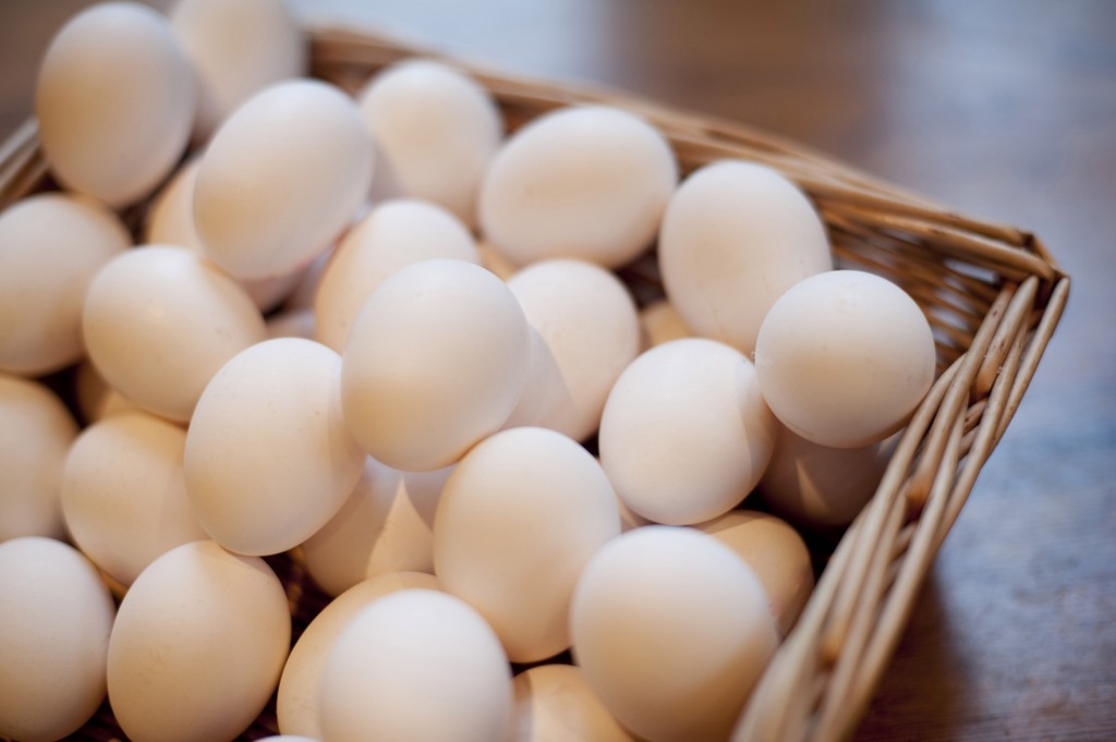 eggs