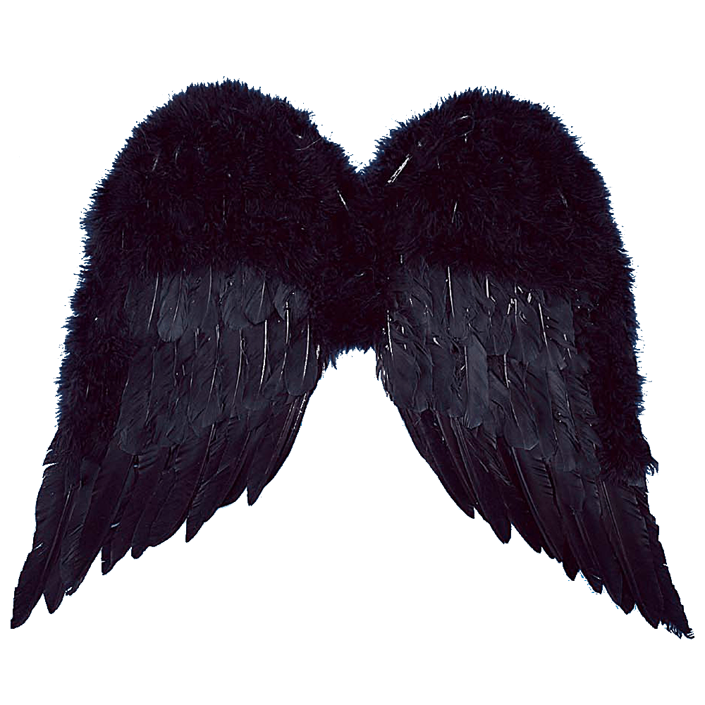 WINGS