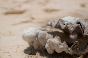 types of cultured pearls