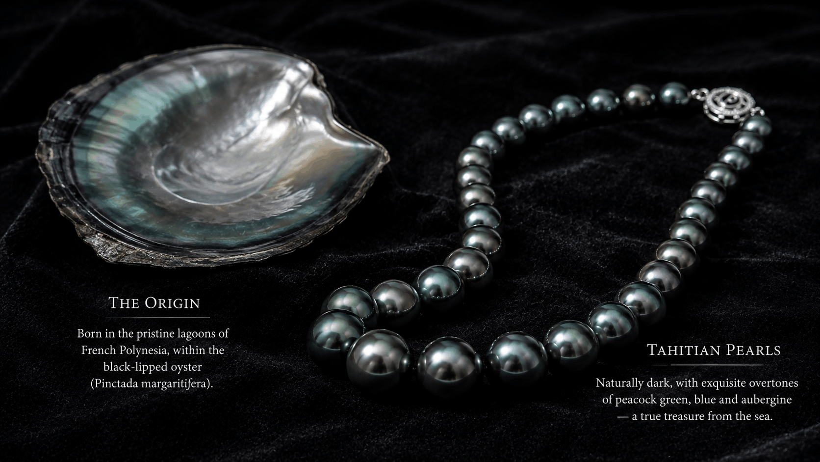 01. What Are Tahiti Black Pearls