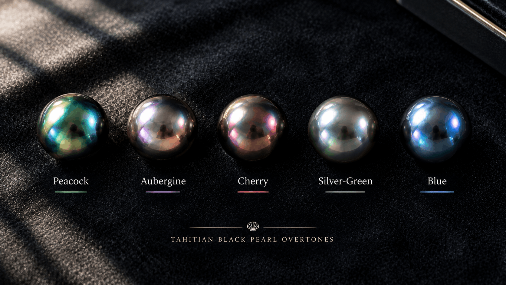 01. Colors and Overtones — The Complete Guide
