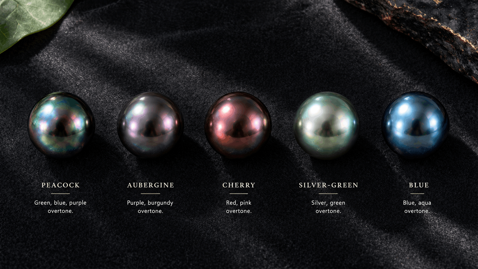 02. Overtones — The Heart of Tahitian Pearl Earrings