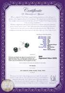 Product certificate: AK-B-AA-78-E