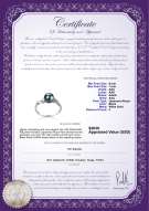 Product certificate: AK-B-AAA-67-R-Andrea