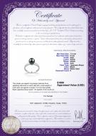 product certificate: AK-B-AAA-78-R-Cecelia