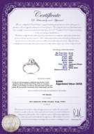 Product certificate: AK-W-AAA-67-R-Andrea