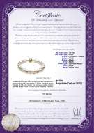 Product certificate: AK-W-AAAA-758-B-Hana-7