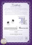 Product certificate: B-78-E