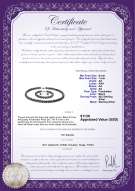 Product certificate: B-AA-67-S