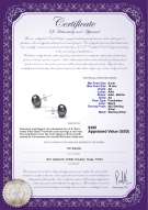 Product certificate: B-AA-910-E-SS