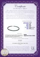 Product certificate: B-AAA-657-N-Akoy