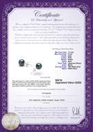 Product certificate: B-AAA-758-E-Akoy