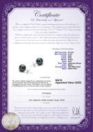 Product certificate: B-AAA-859-E-Akoy