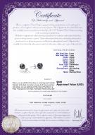 product certificate: B-AAAA-67-E