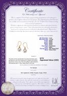product certificate: FH1WH075-Y