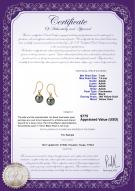 product certificate: FH2BG075-Y