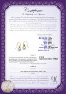 product certificate: FHD1WH075-Y