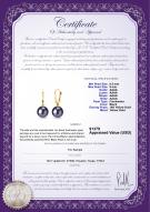 product certificate: FLA2BP085-Y
