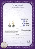 product certificate: FLB2BP085-Y