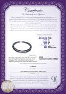 Product certificate: FW-B-A-67-N-DBL