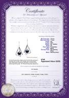 Product certificate: FW-B-AA-1011-E-Nichelle