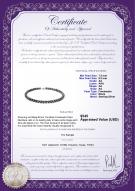 product certificate: FW-B-AA-7585-N
