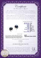 Product certificate: FW-B-AA-78-E-Carina