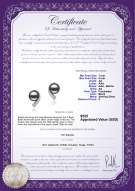 Product certificate: FW-B-AA-78-E-Claudia