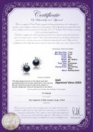 product certificate: FW-B-AA-78-E-Marissa