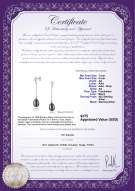 Product certificate: FW-B-AA-78-E-Reese