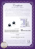 Product certificate: FW-B-AA-78-E-Selene