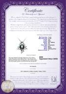 Product certificate: FW-B-AA-78-P-Fishbone