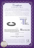 product certificate: FW-B-AA-89-B