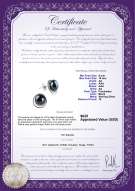 Product certificate: FW-B-AA-910-E-Kelly