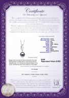 Product certificate: FW-B-AA-910-P-Naomi