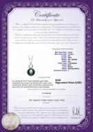 product certificate: FW-B-AA-910-P-Sonia