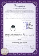 product certificate: FW-B-AAA-1112-R-Kalina