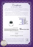 Product certificate: FW-B-AAA-1112-R-Kalina