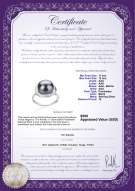 Product certificate: FW-B-AAA-1112-R-Wendy