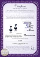 Product certificate: FW-B-AAA-611-E-Zelda