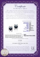 Product certificate: FW-B-AAA-89-E-Odelia