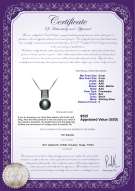 Product certificate: FW-B-AAA-89-P-Alina