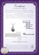 product certificate: FW-B-AAA-89-P-Hester