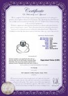product certificate: FW-B-AAA-89-R-Esty