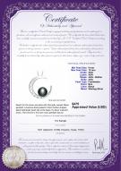 product certificate: FW-B-AAA-910-P-Moon