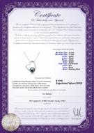 product certificate: FW-B-AAAA-1011-P-Miranda