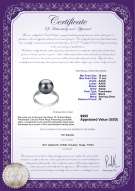 Product certificate: FW-B-AAAA-1011-R-Oana