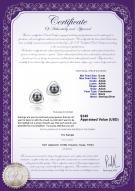 product certificate: FW-B-AAAA-67-E-Rowan