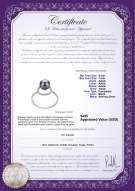 Product certificate: FW-B-AAAA-67-R-Andy